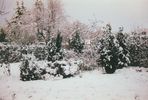 1994-dec-sneeuw_05.jpg